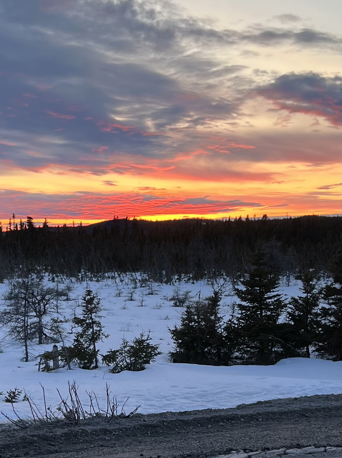 Sky Splendor - Downhome Magazine