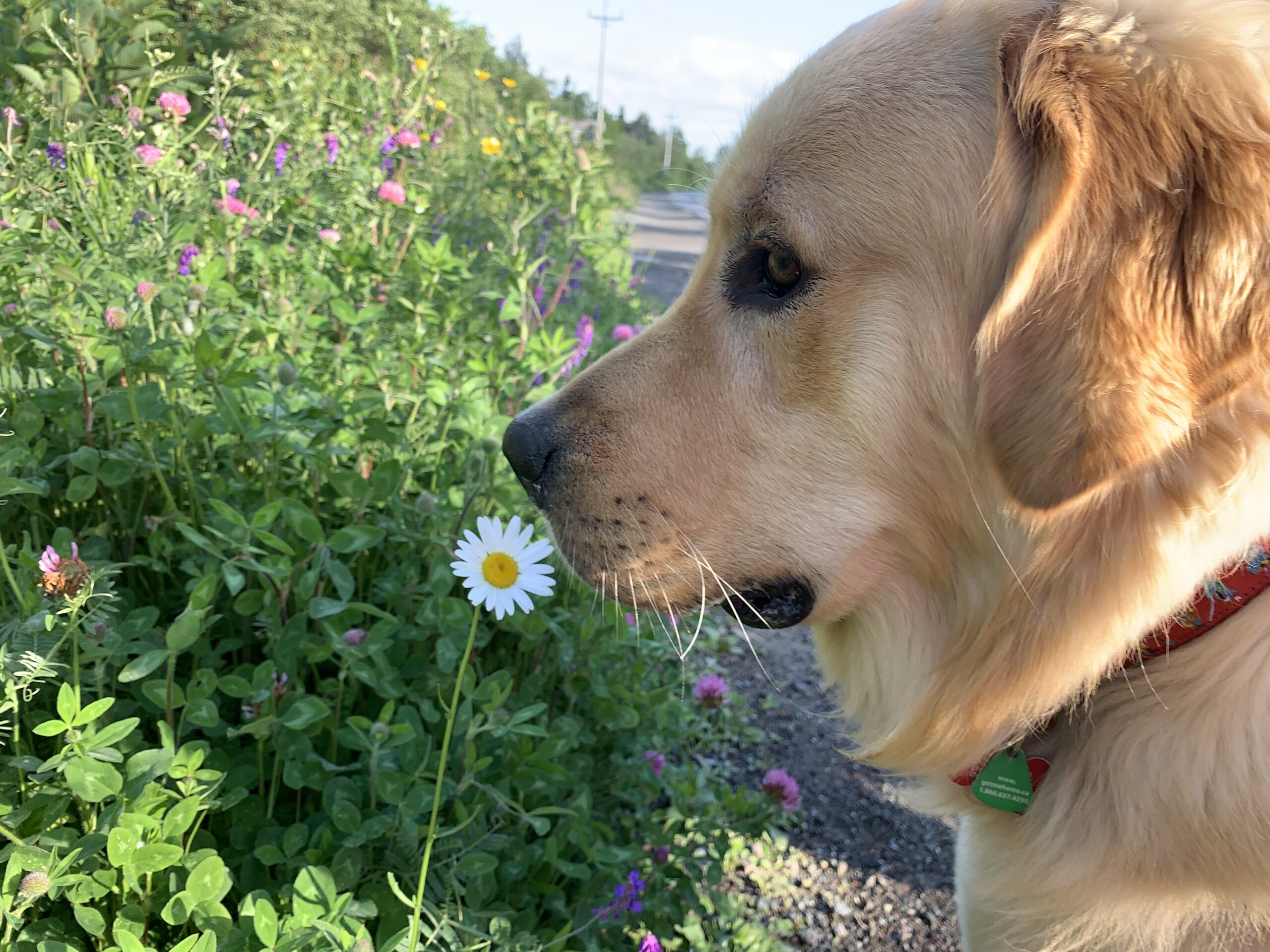 Main Gallery Display