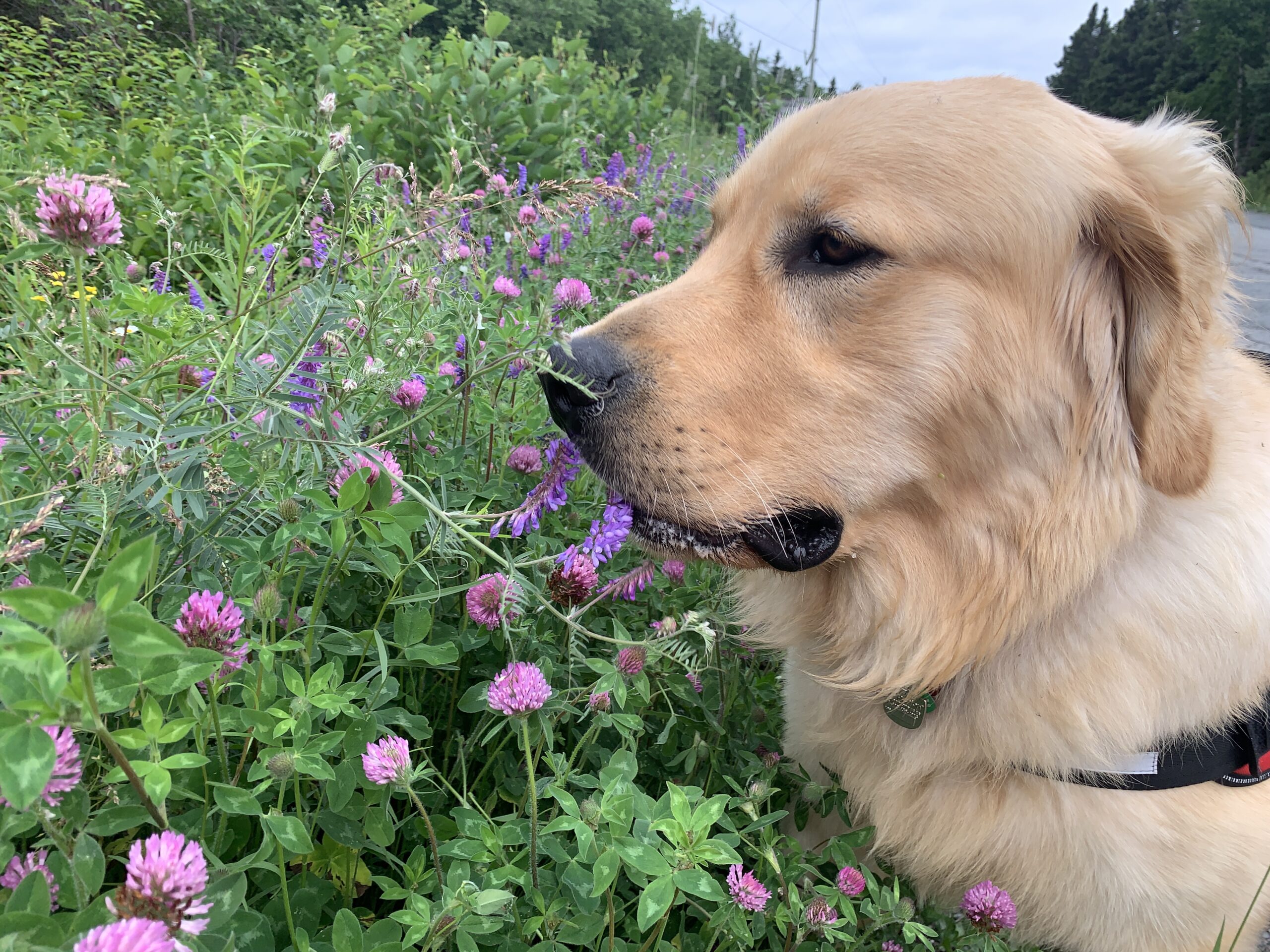 Main Gallery Display