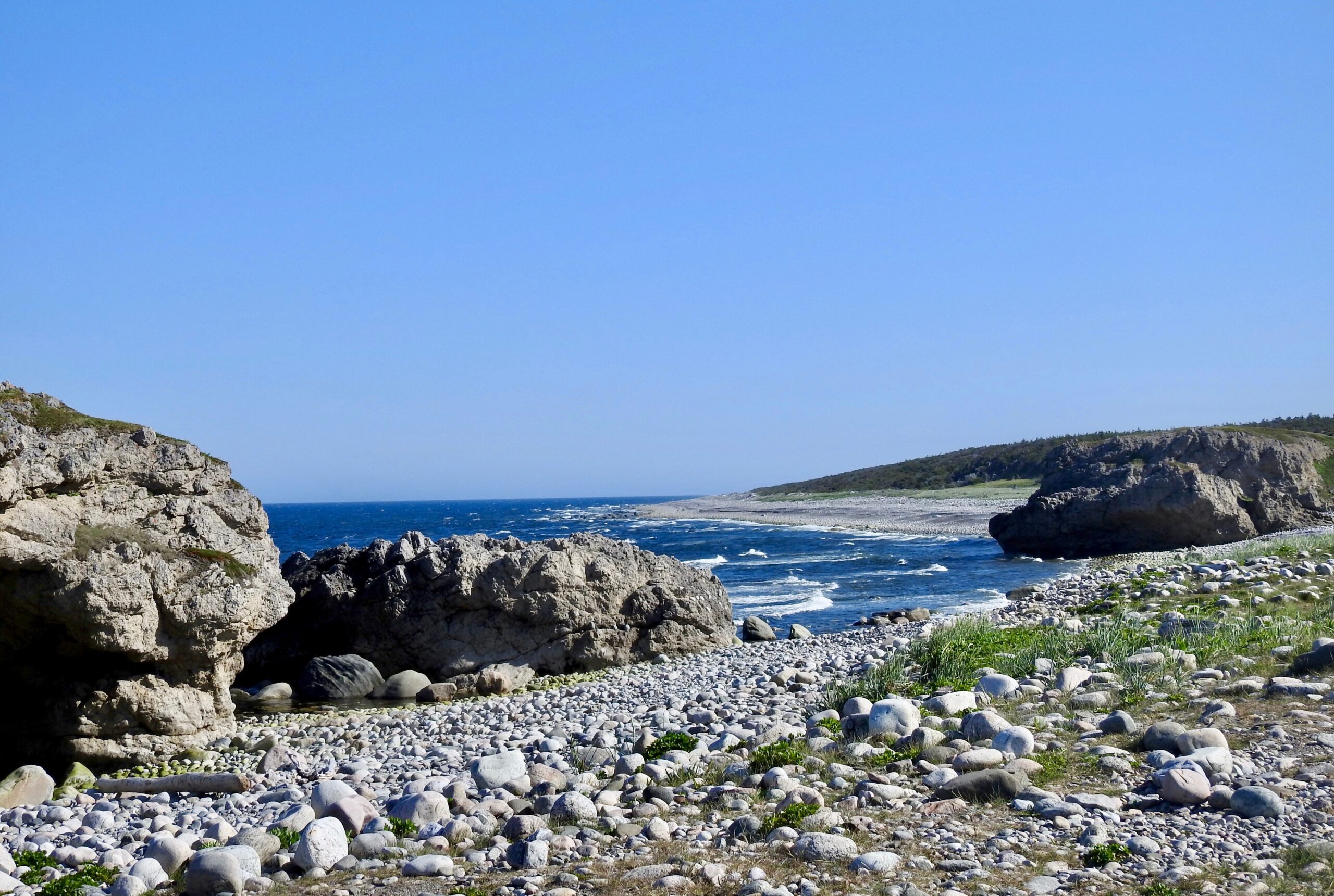 Main Gallery Display