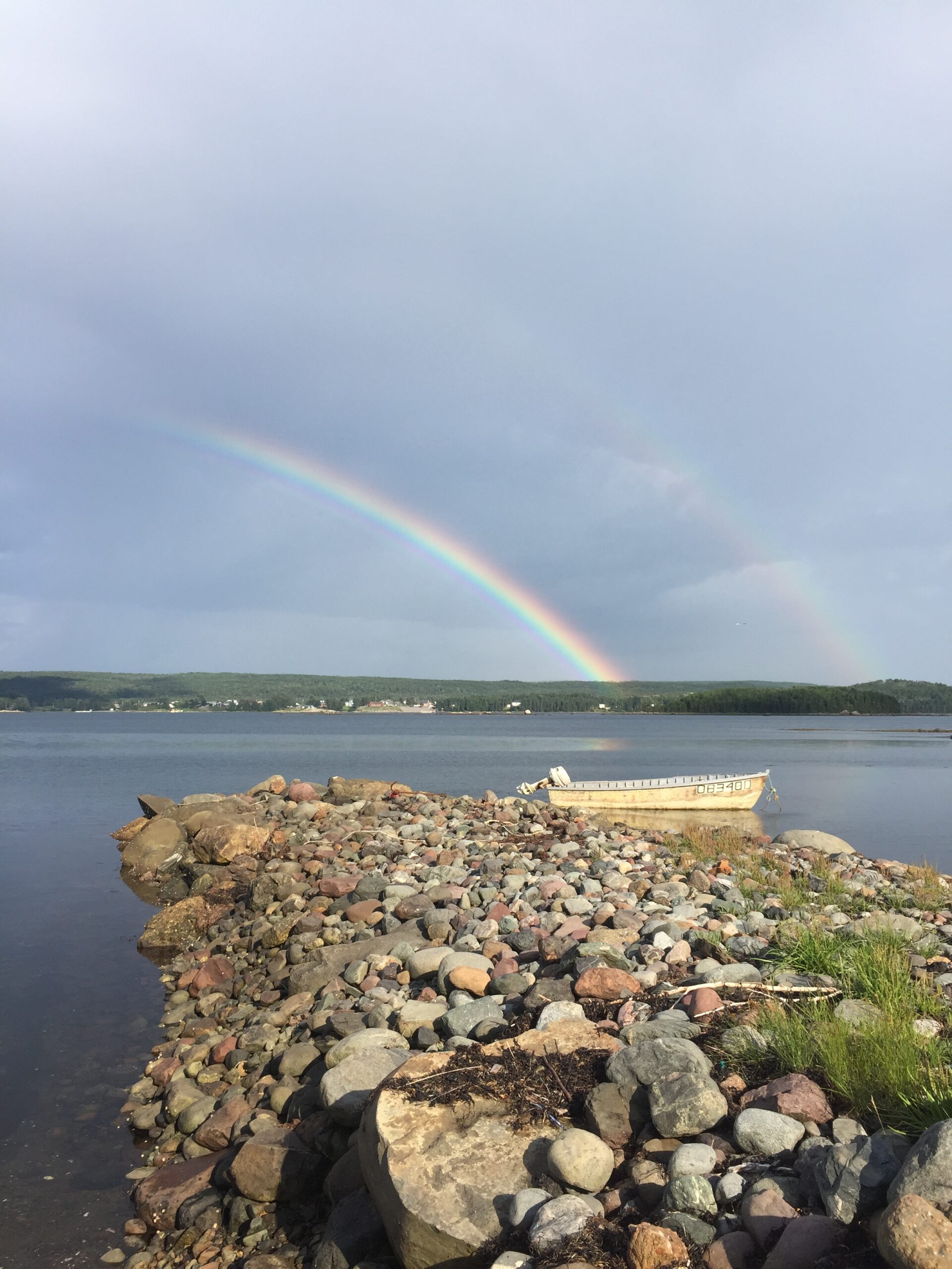 Main Gallery Display