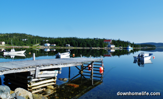 Main Gallery Display