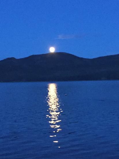 Main Gallery Display