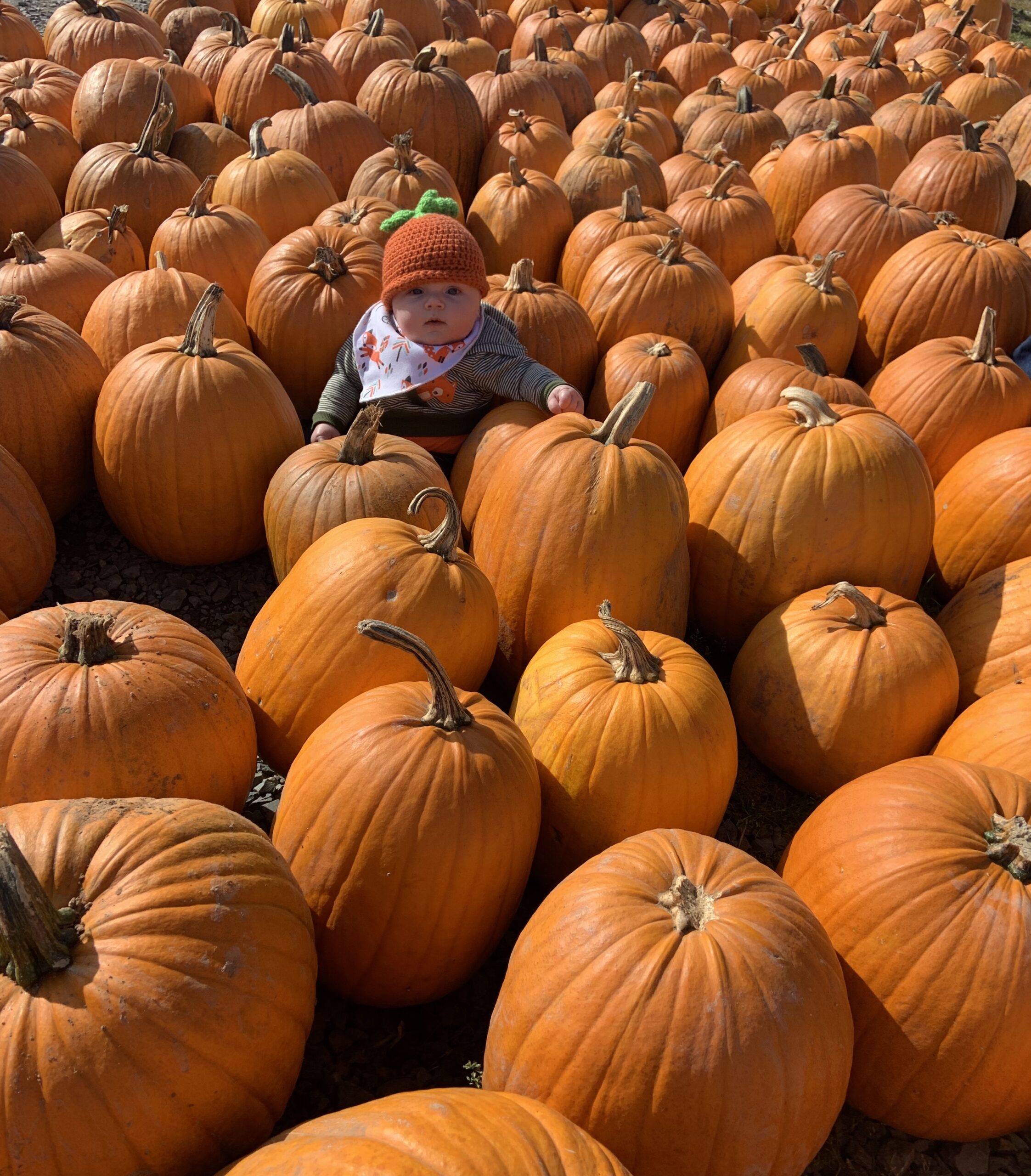 Main Gallery Display