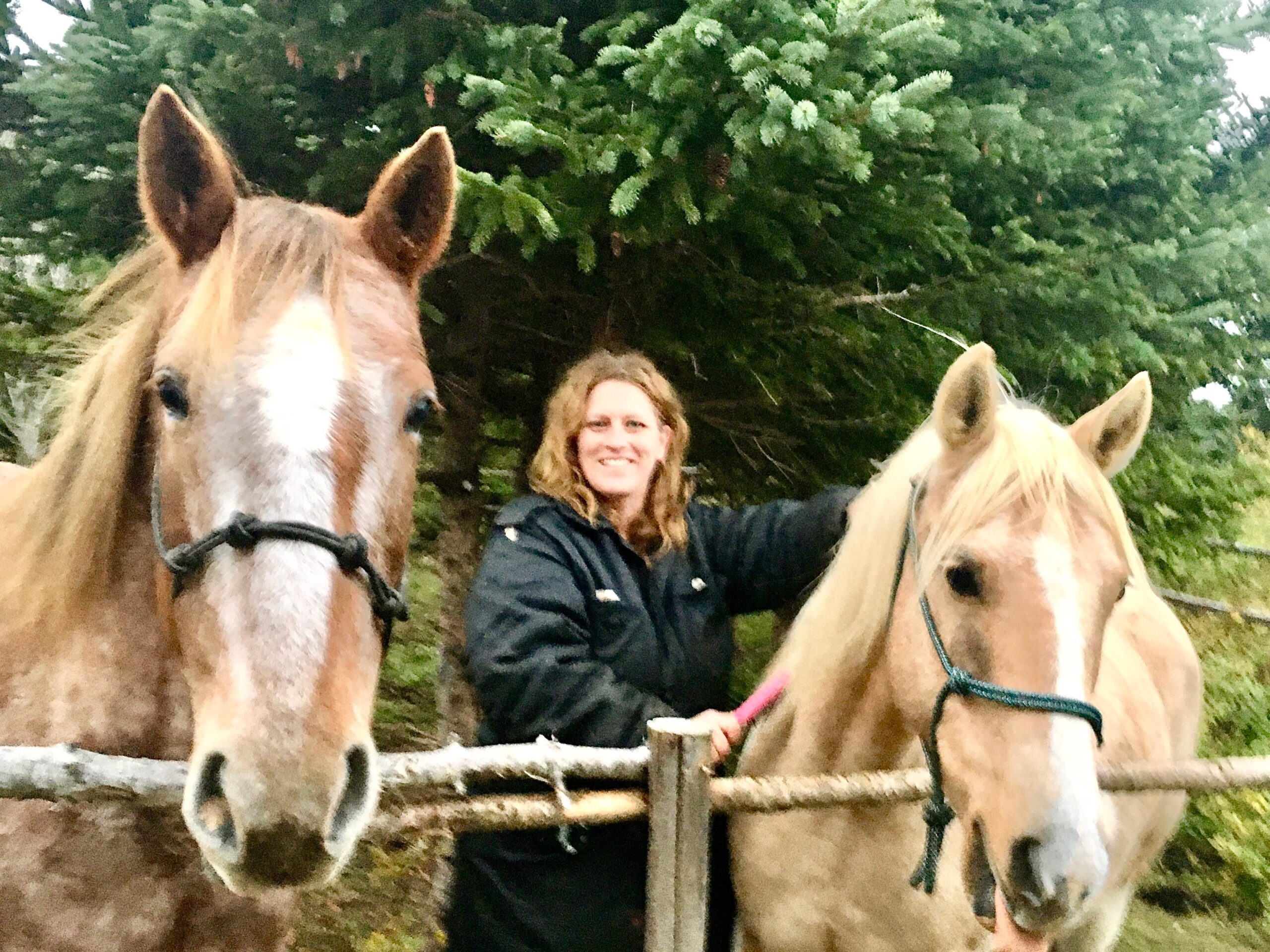 Main Gallery Display
