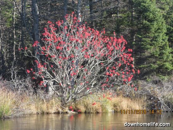 Main Gallery Display