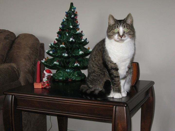 Main Gallery Display