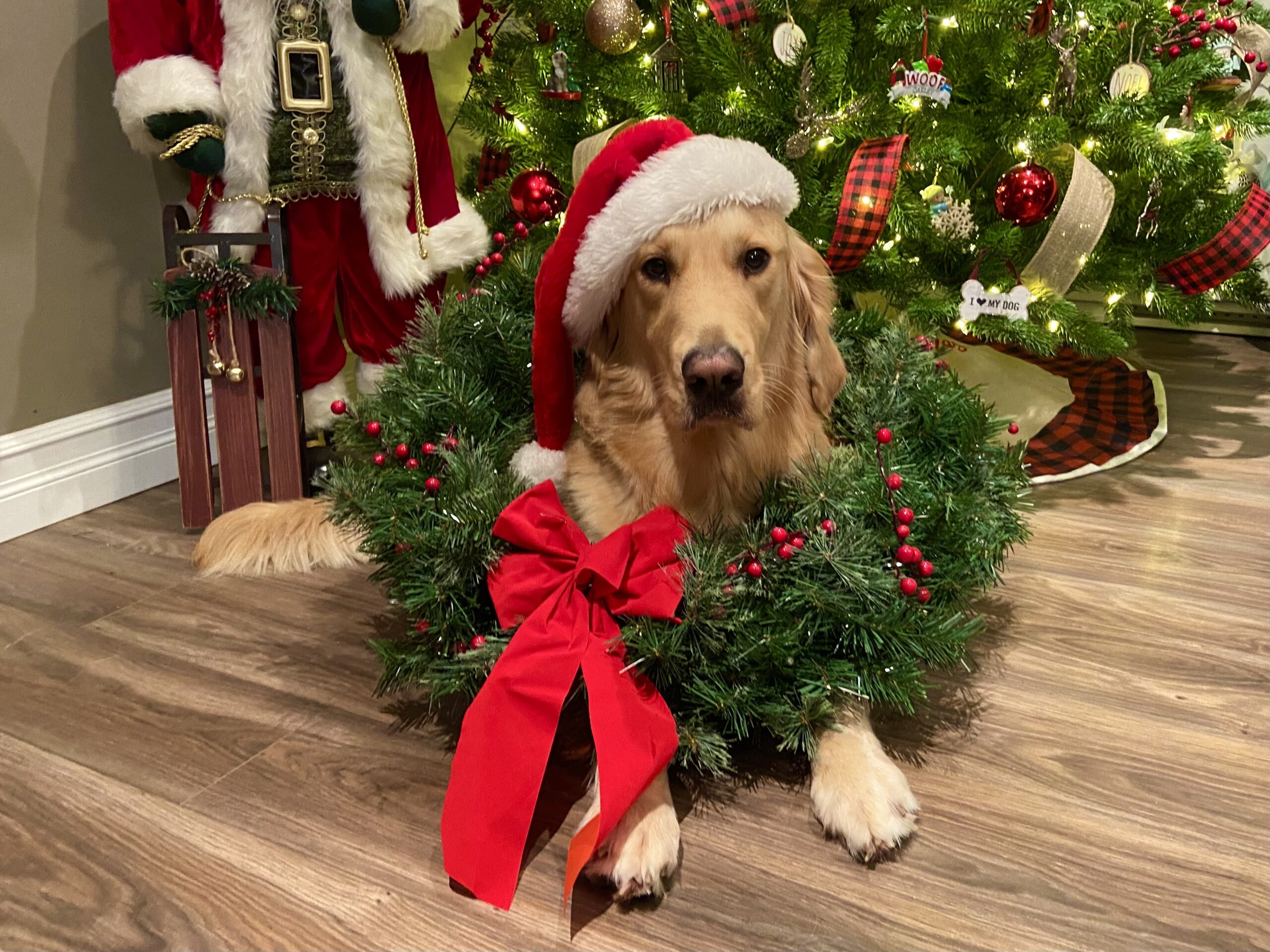 Main Gallery Display