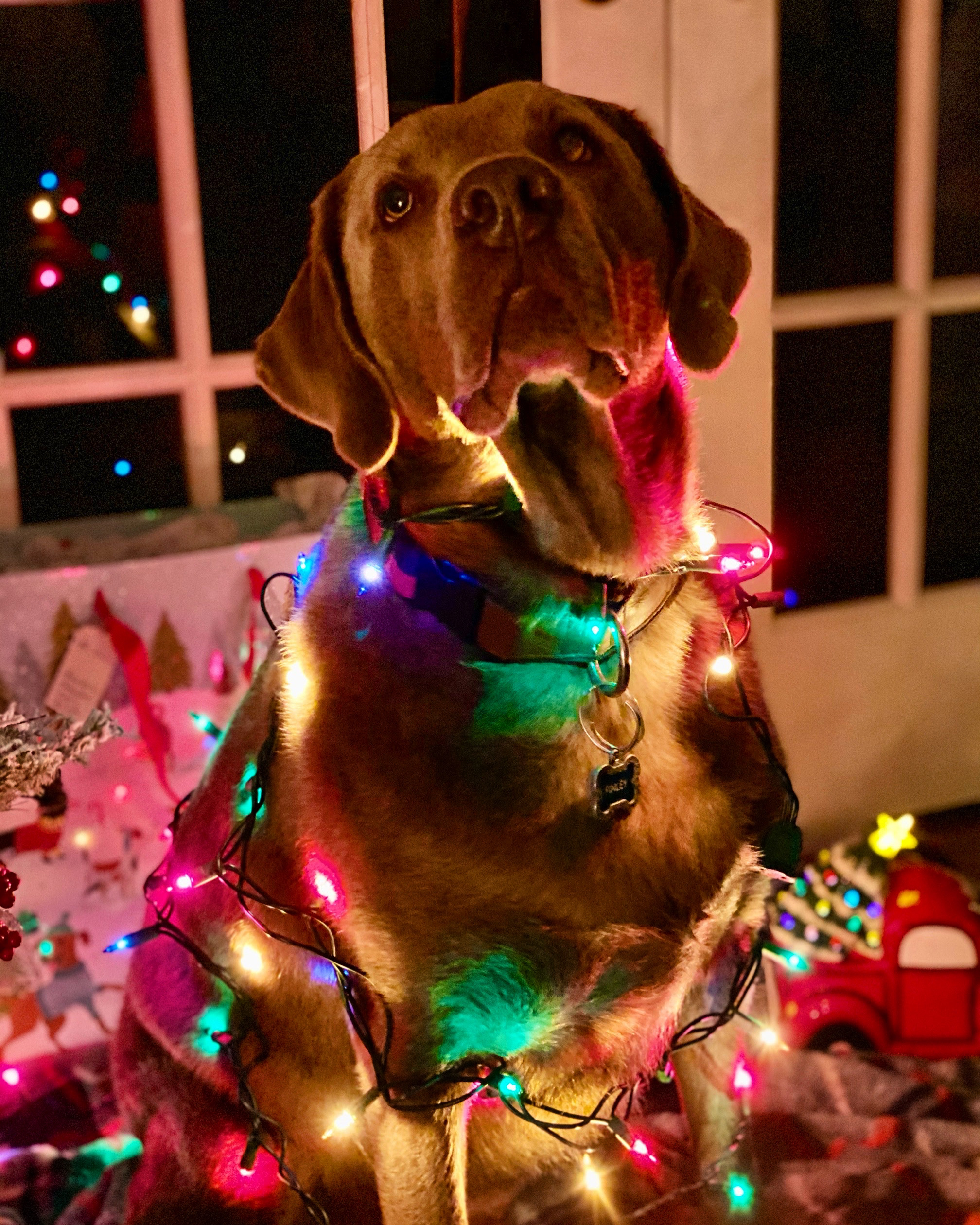 Main Gallery Display