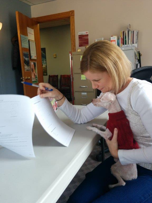 Main Gallery Display