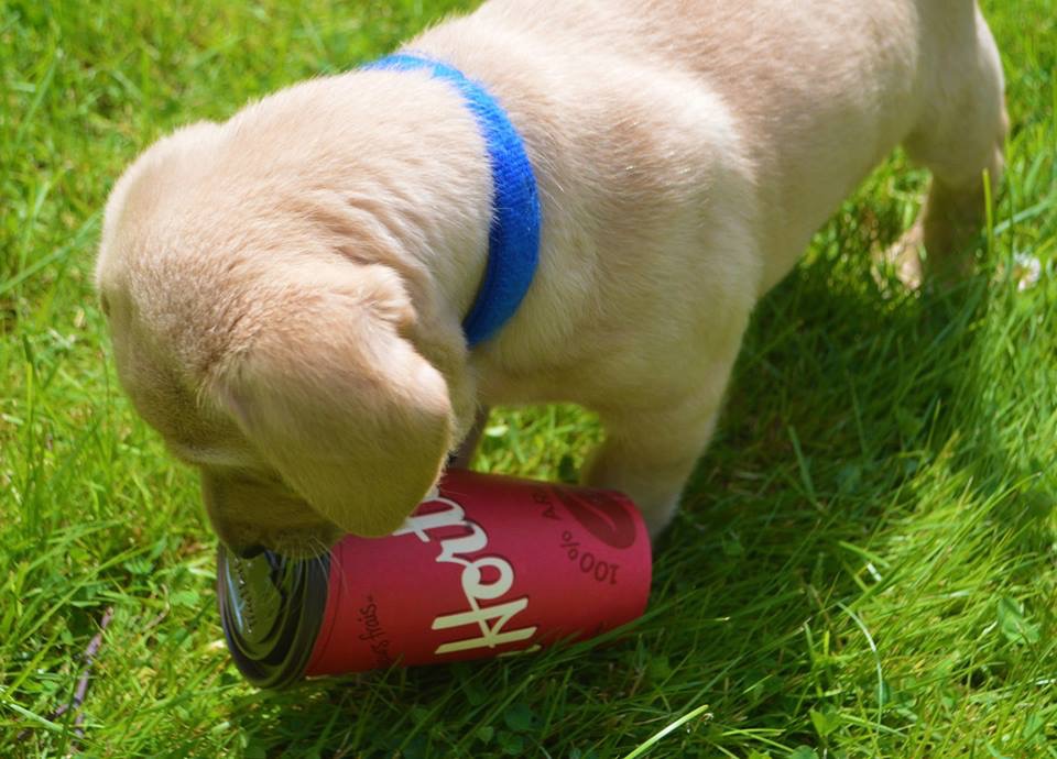 Main Gallery Display
