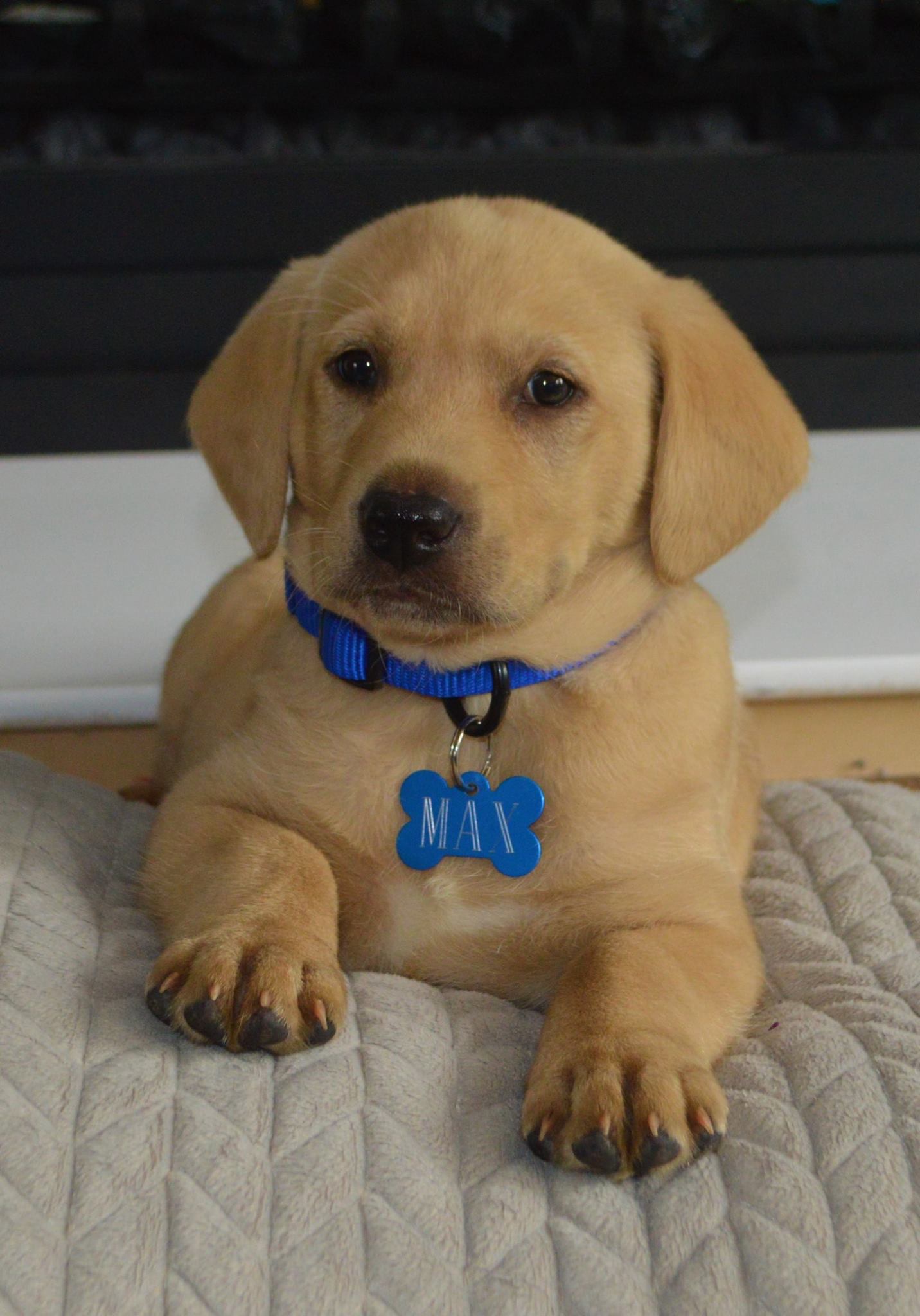 Main Gallery Display