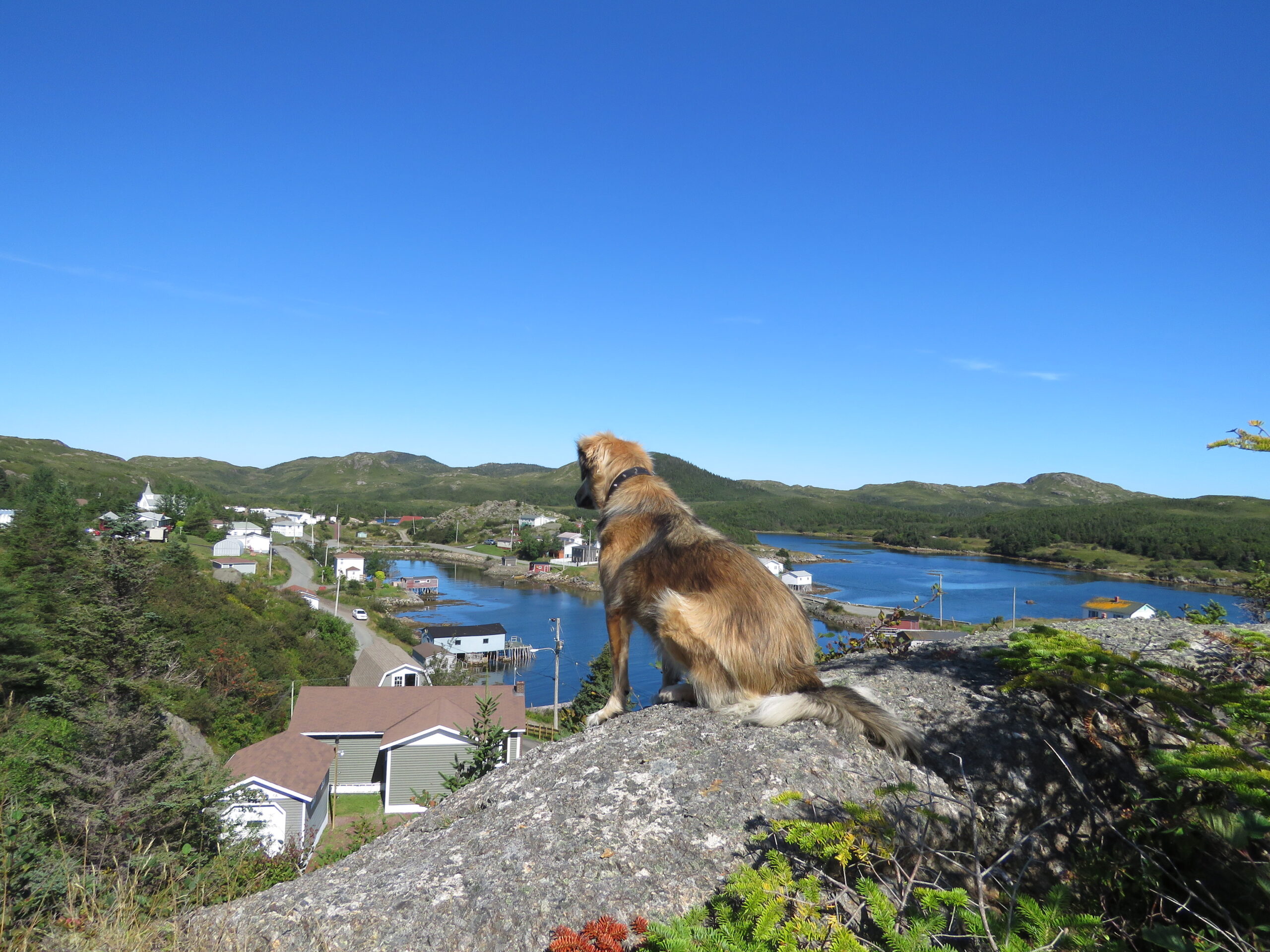 Main Gallery Display