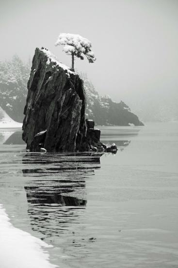 Main Gallery Display