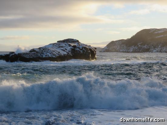 Main Gallery Display
