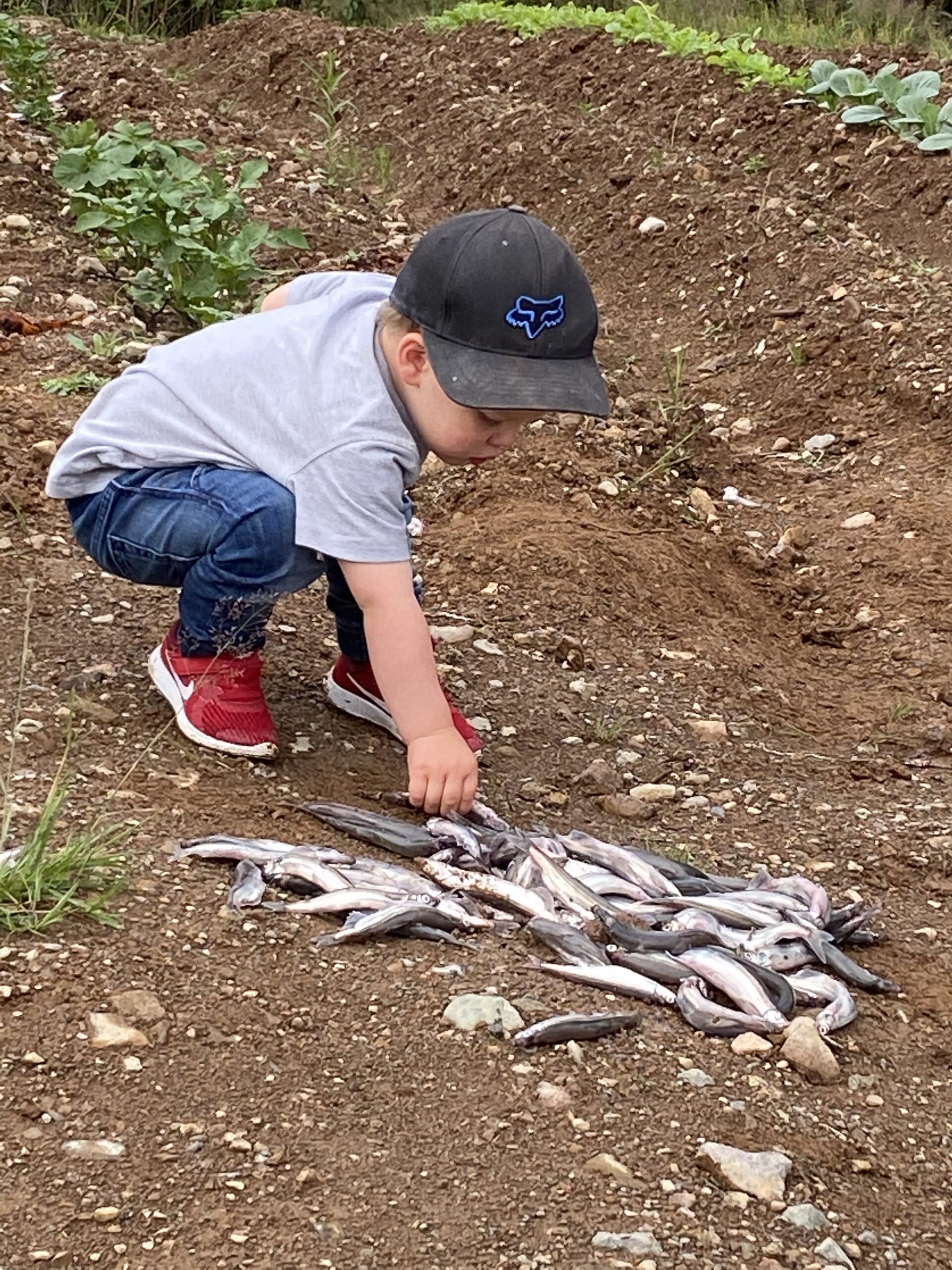 Main Gallery Display