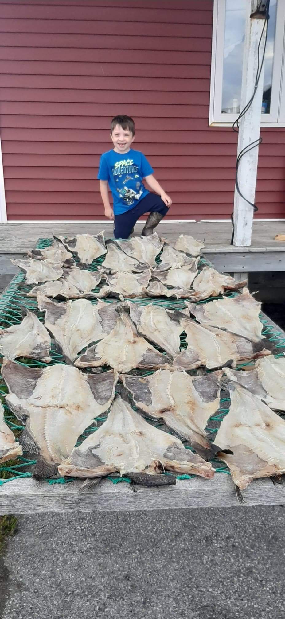 Main Gallery Display