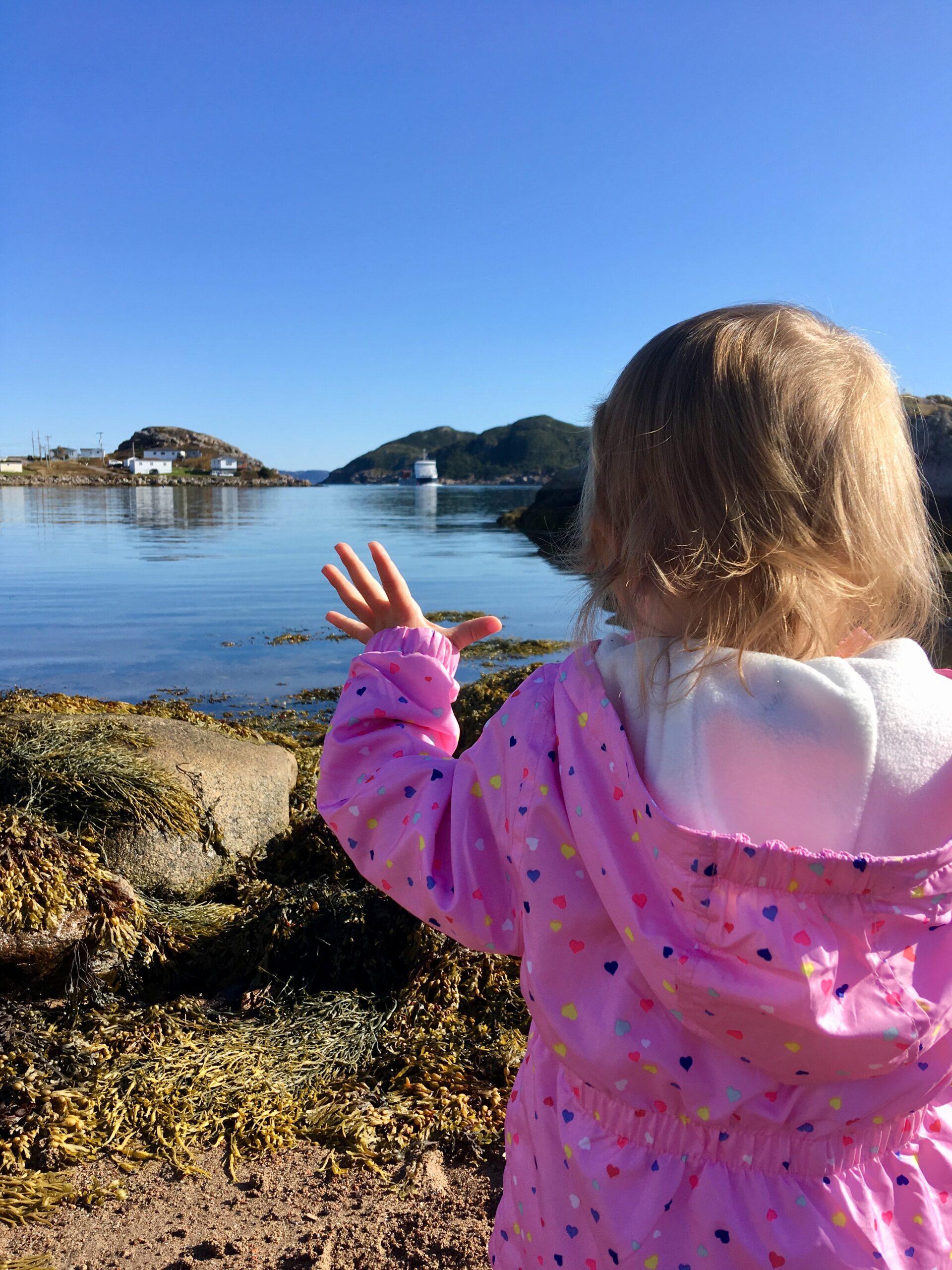 Main Gallery Display