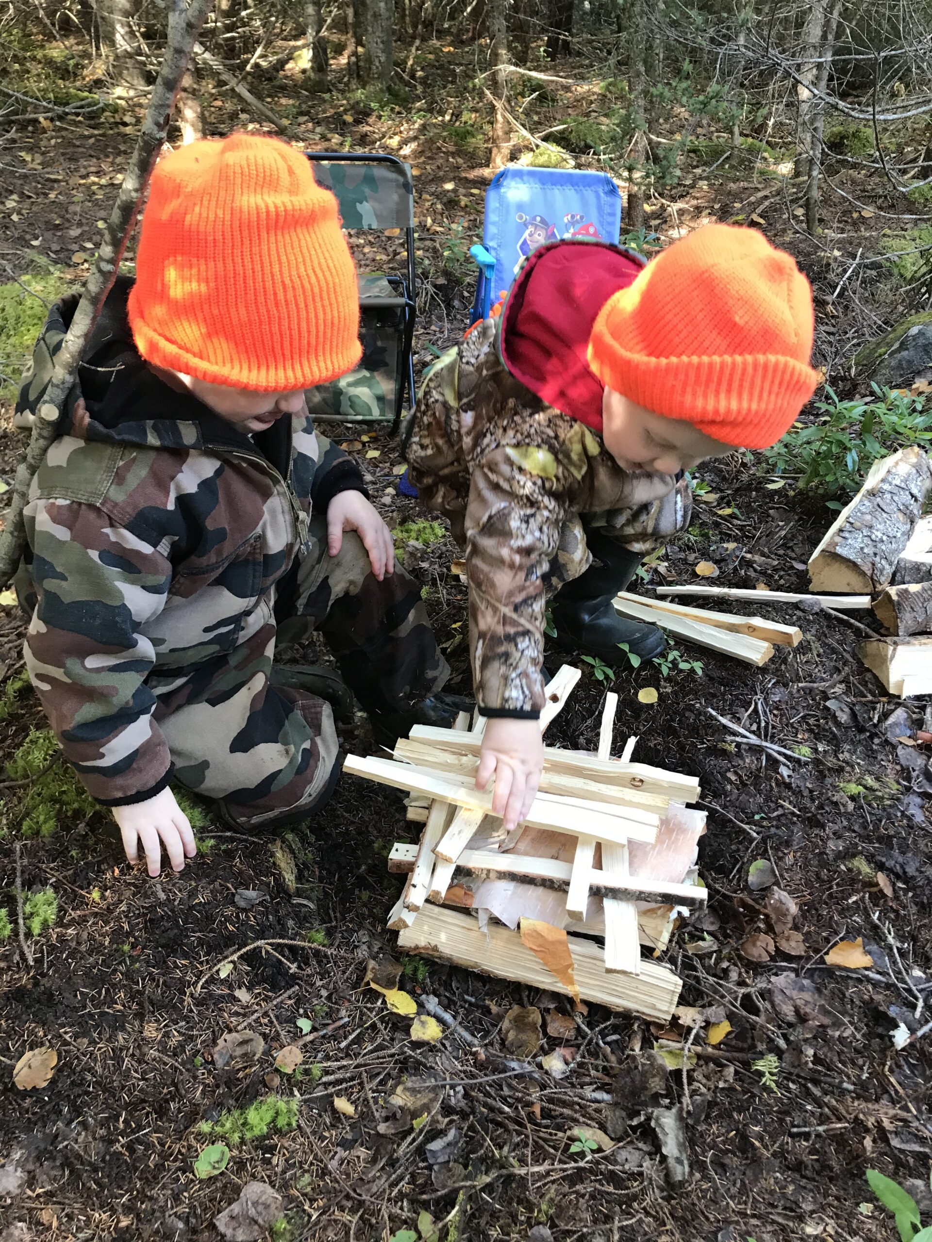 Main Gallery Display