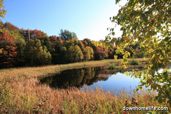 Main Gallery Display