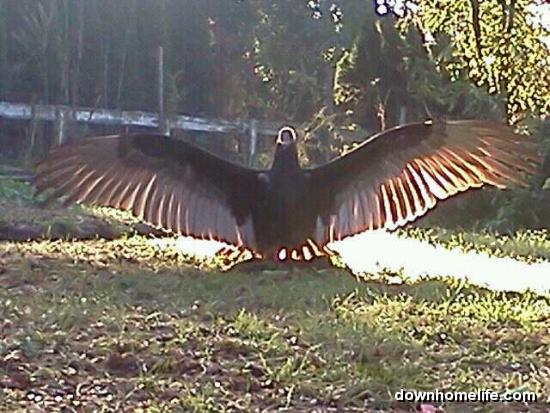 Main Gallery Display