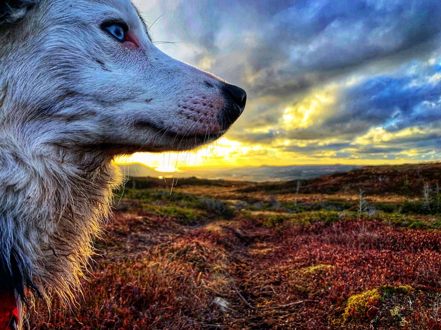 Main Gallery Display