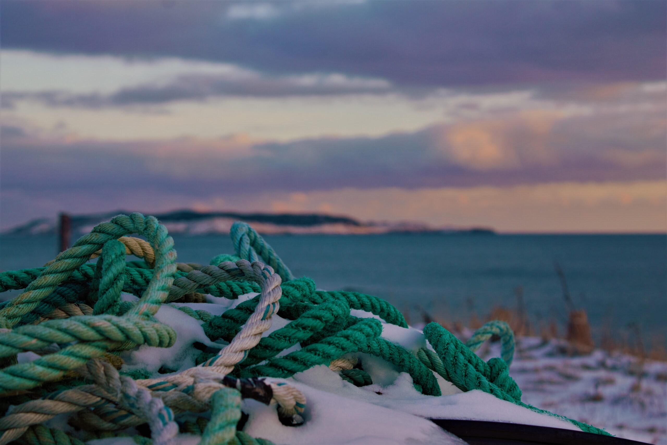 Main Gallery Display