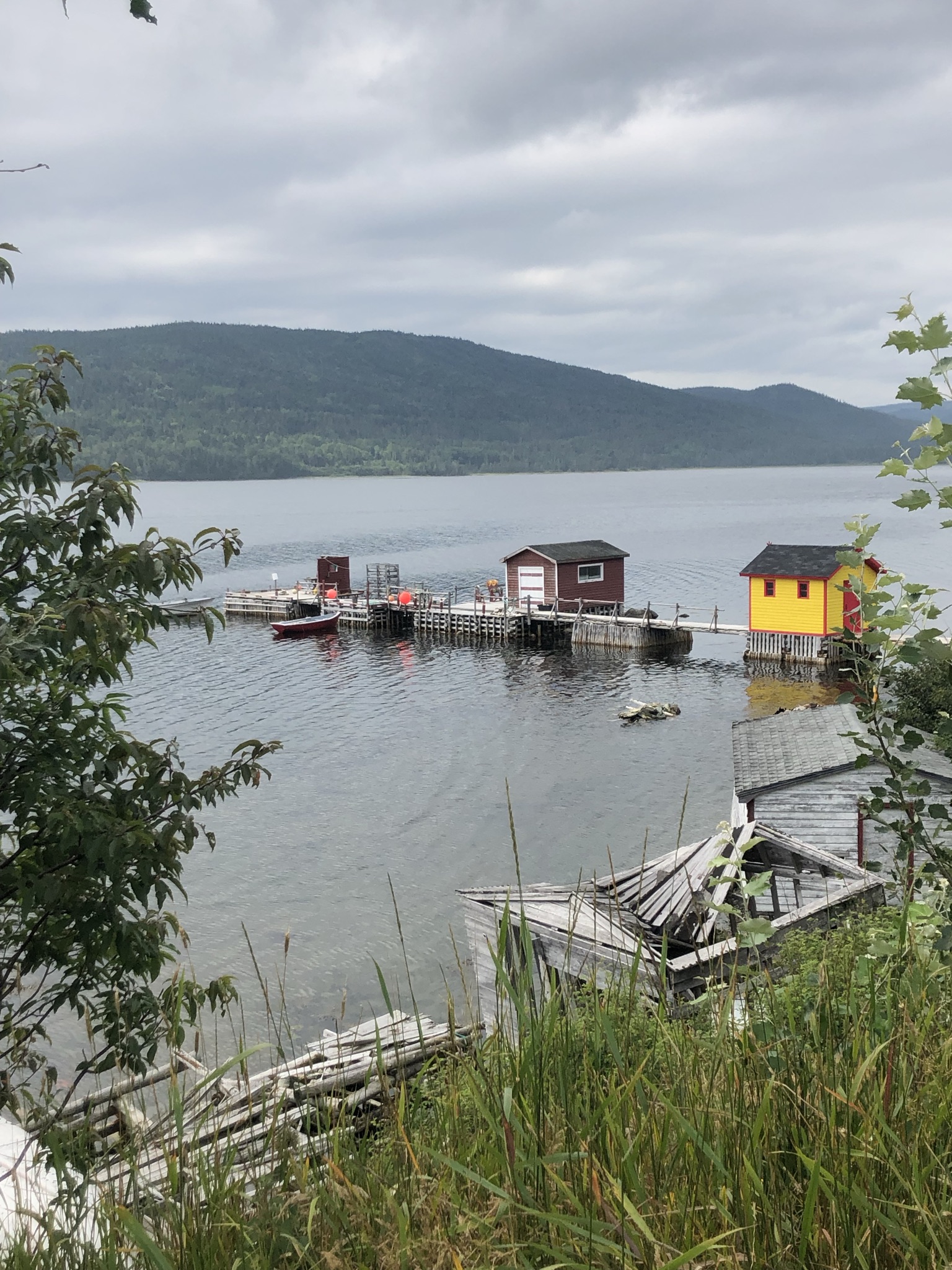 Main Gallery Display