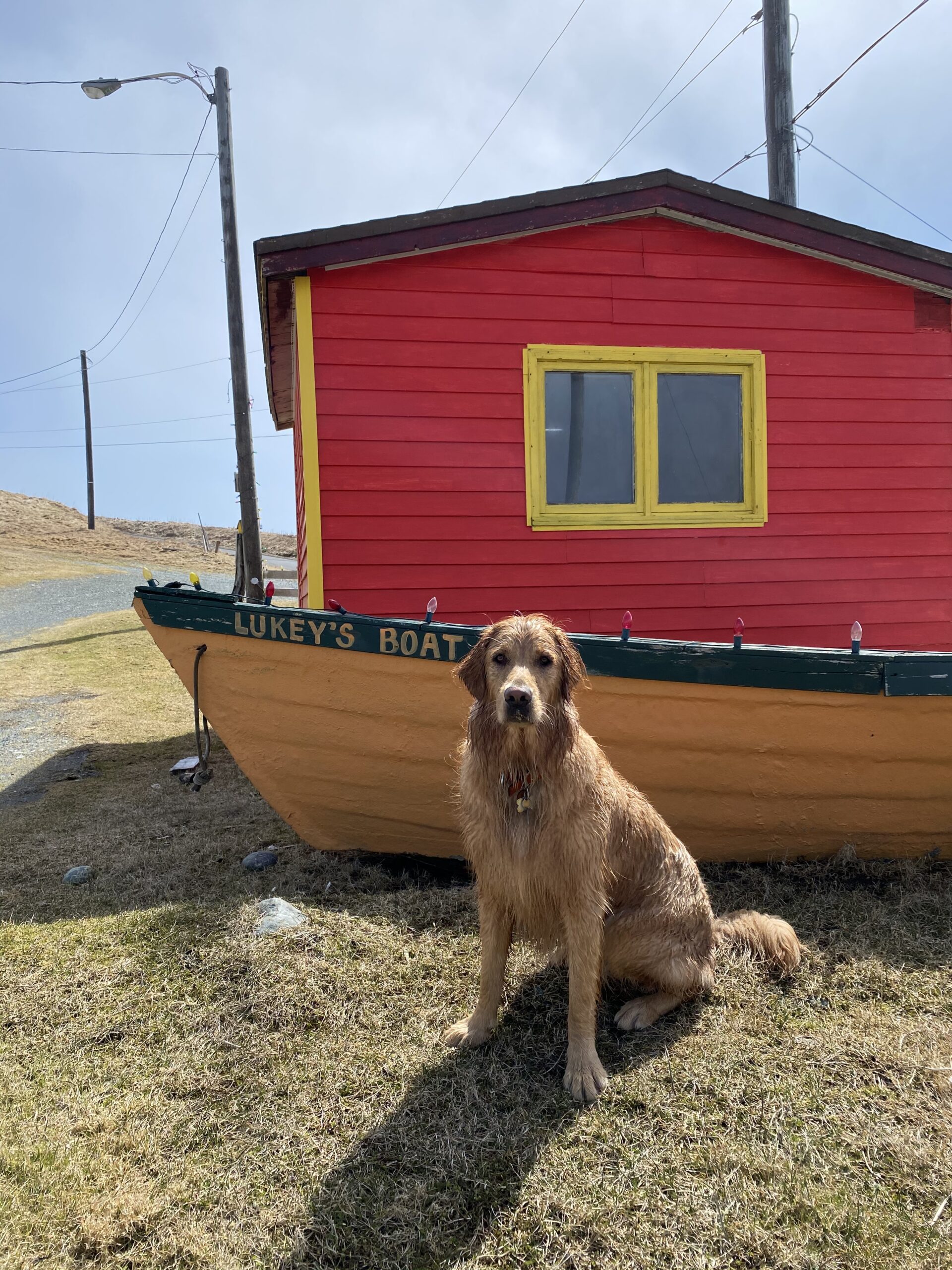 Main Gallery Display