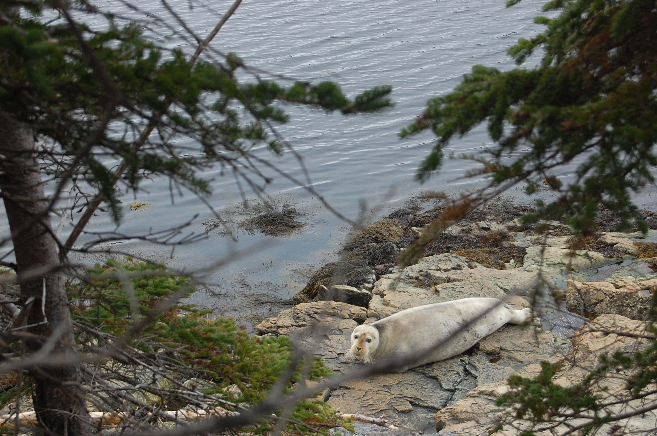 Main Gallery Display