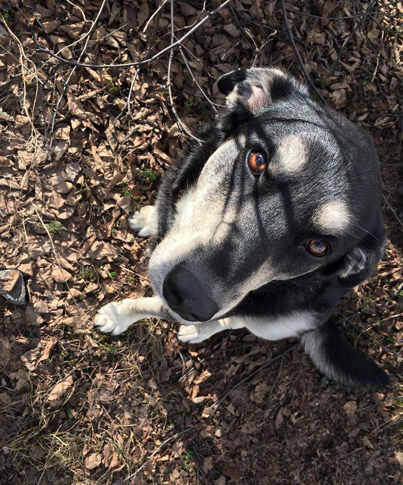 Main Gallery Display