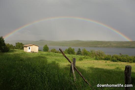 Main Gallery Display