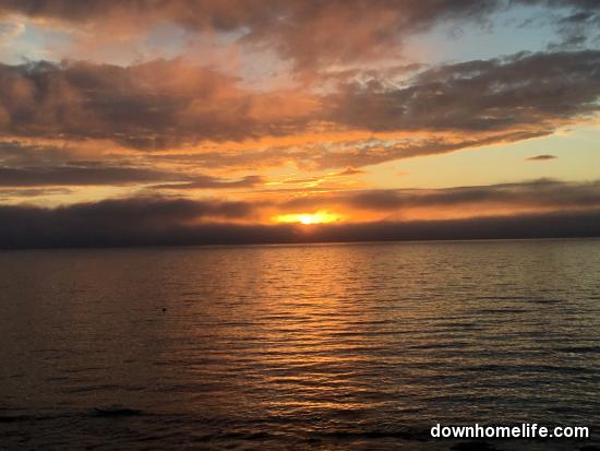 Main Gallery Display