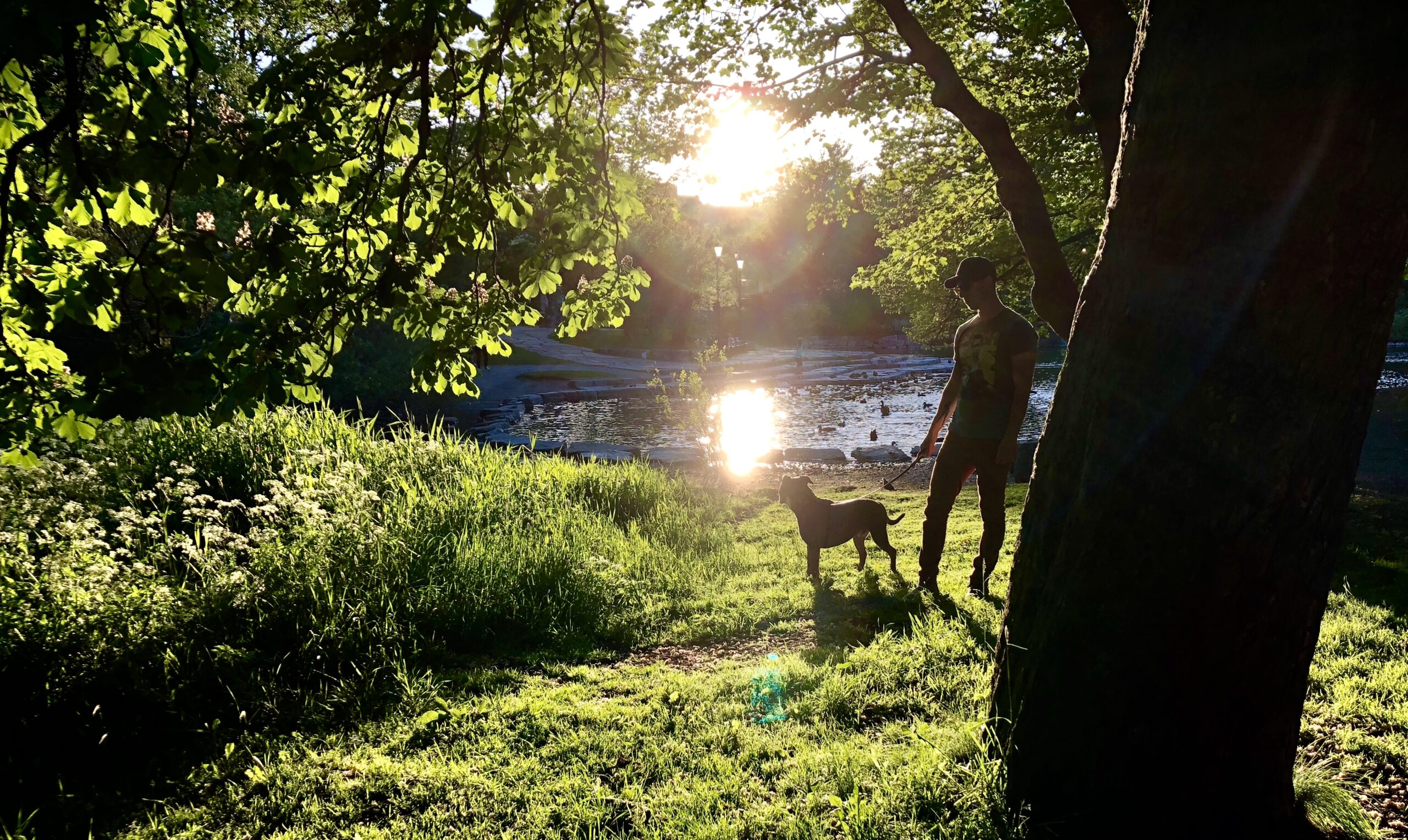 Main Gallery Display