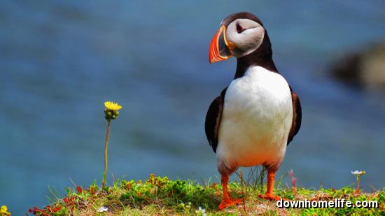 Main Gallery Display