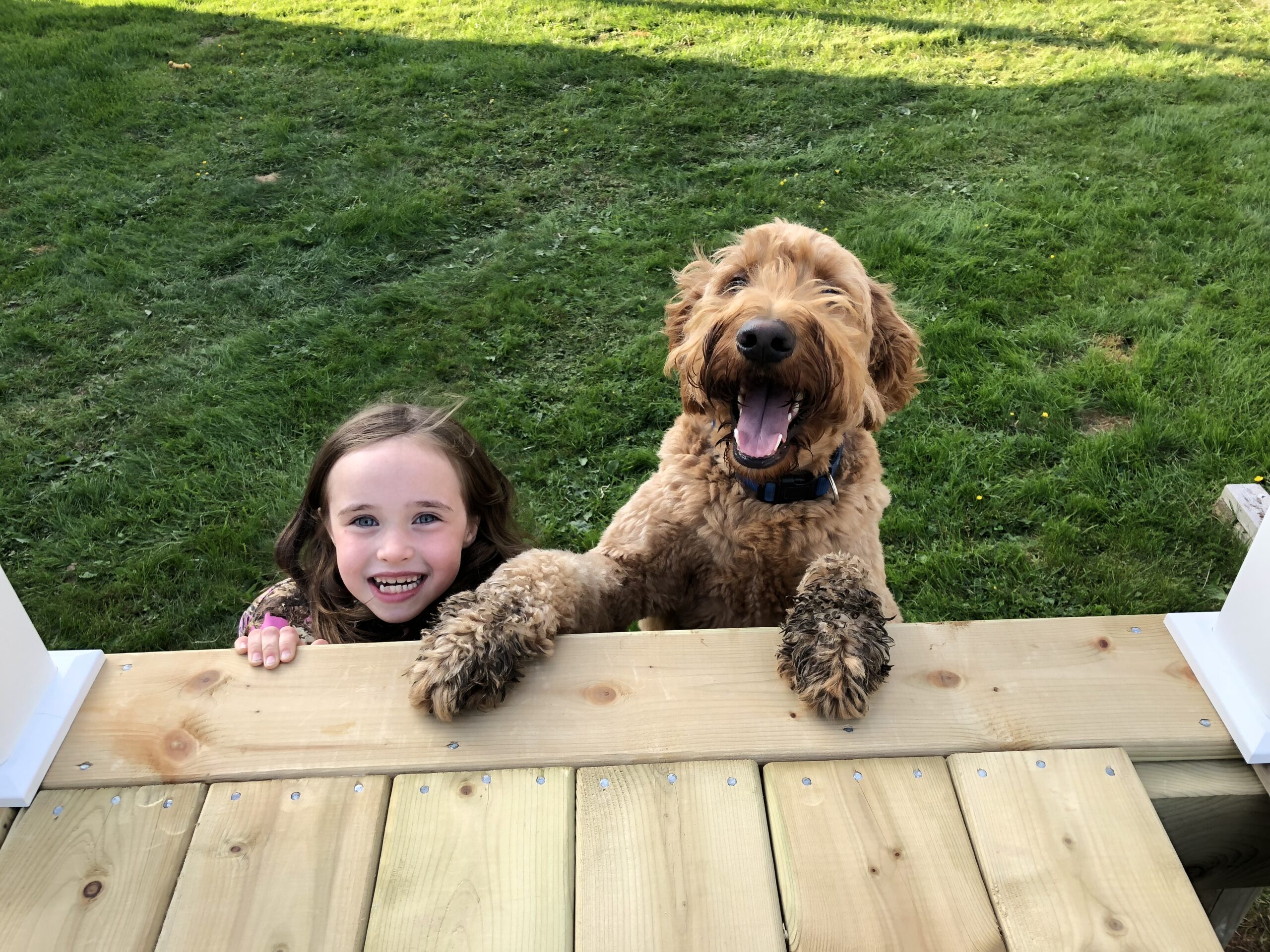 Main Gallery Display