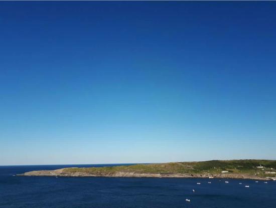 Main Gallery Display