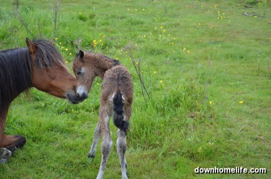 Main Gallery Display