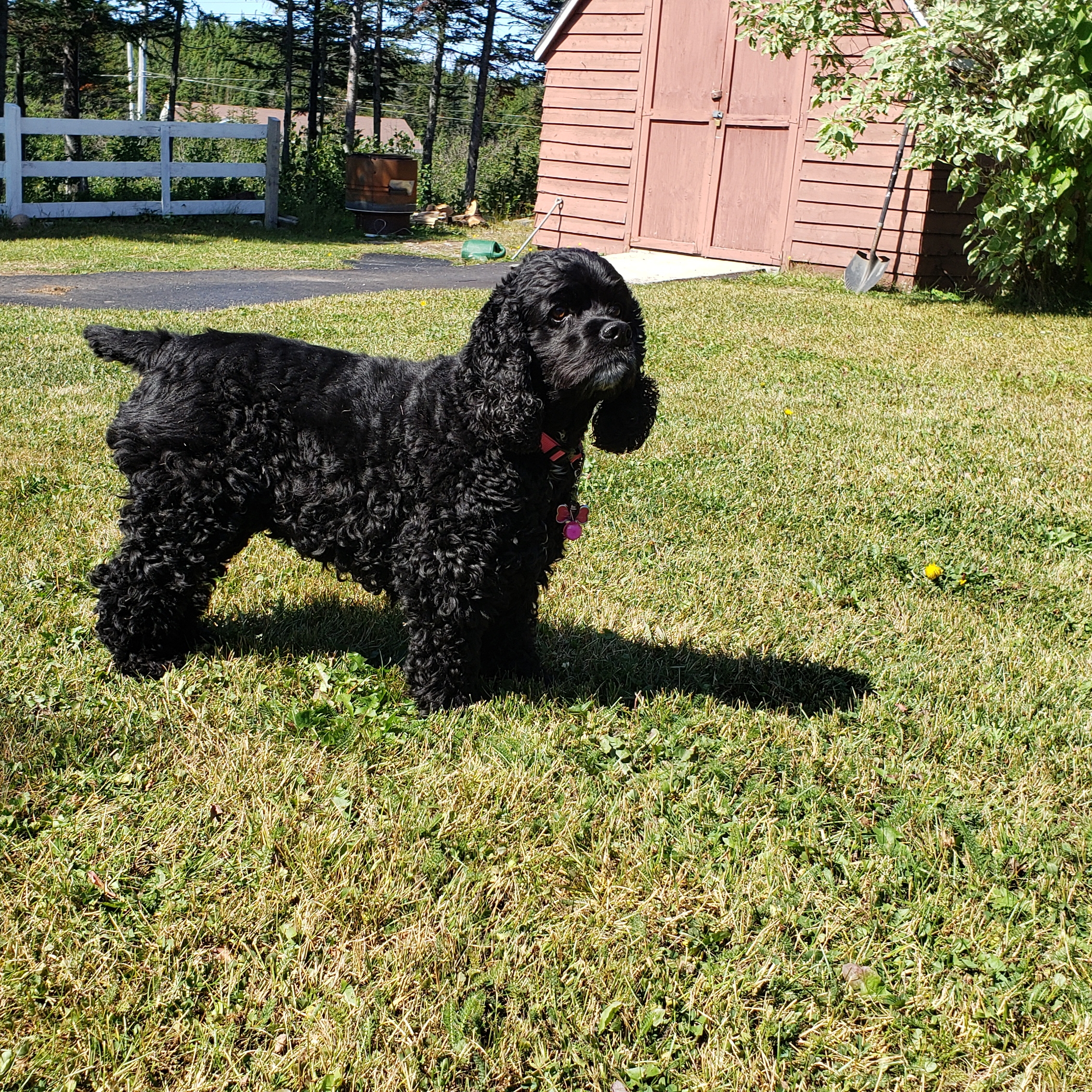 Main Gallery Display