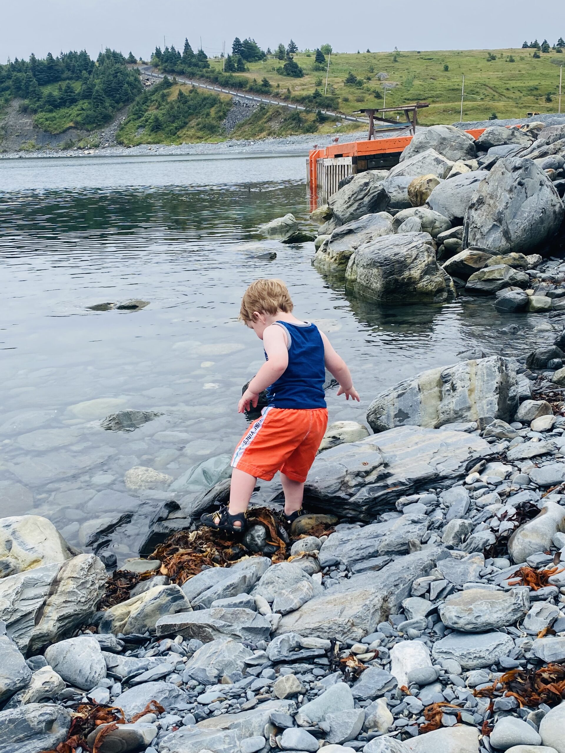 Main Gallery Display