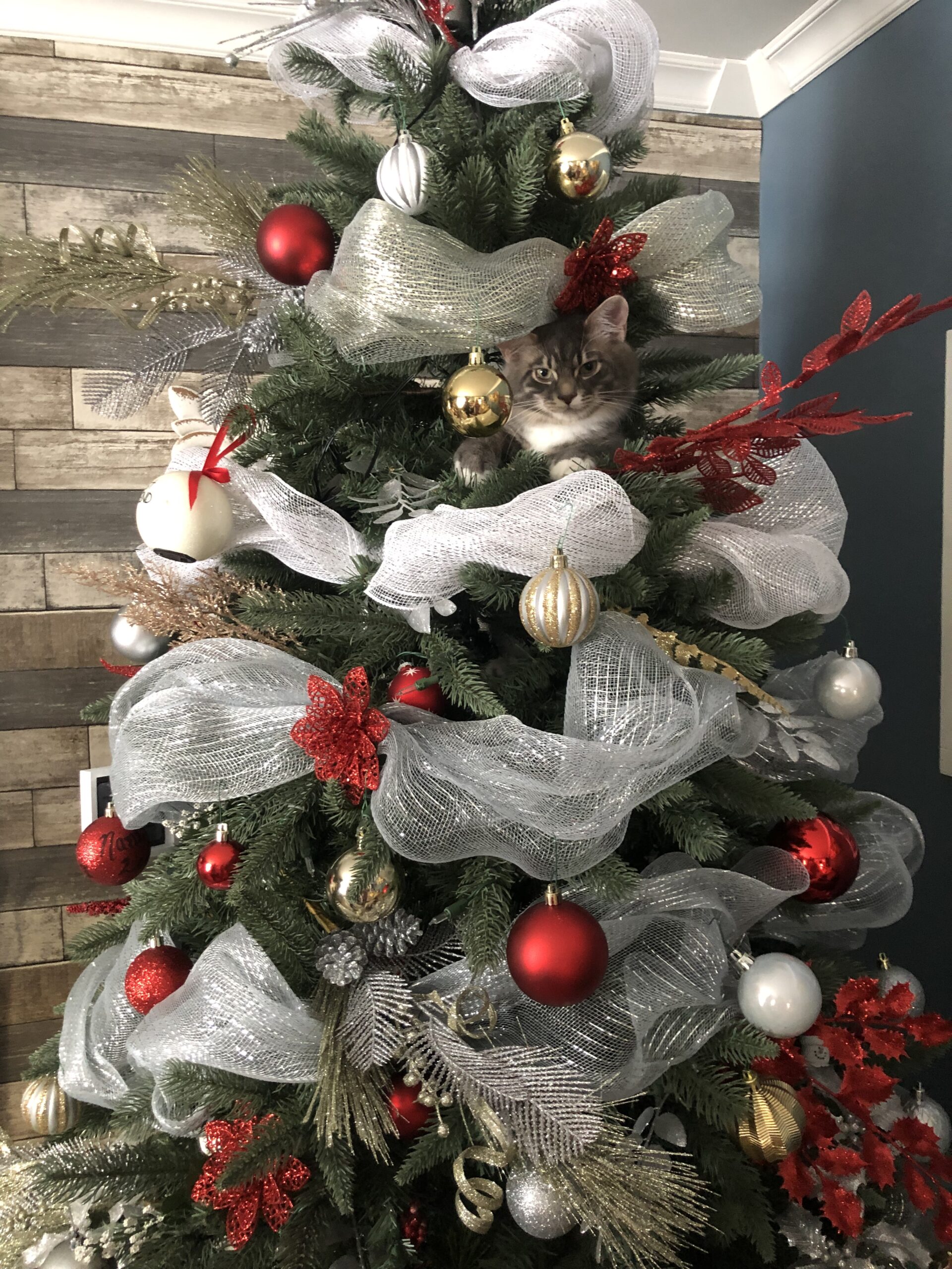 Main Gallery Display