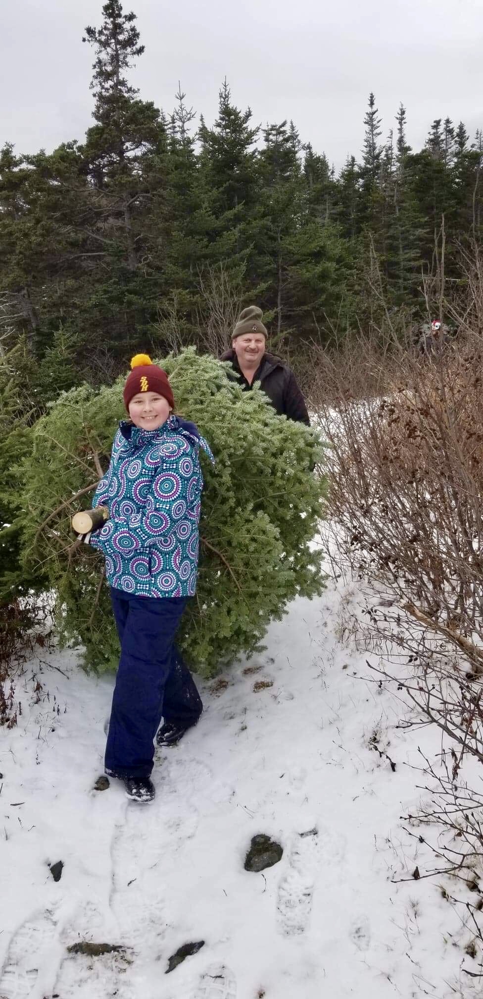 Main Gallery Display