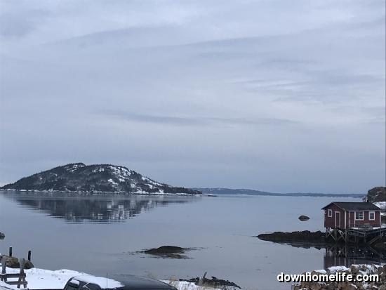 Main Gallery Display