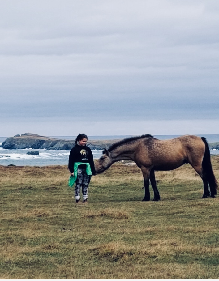 Main Gallery Display