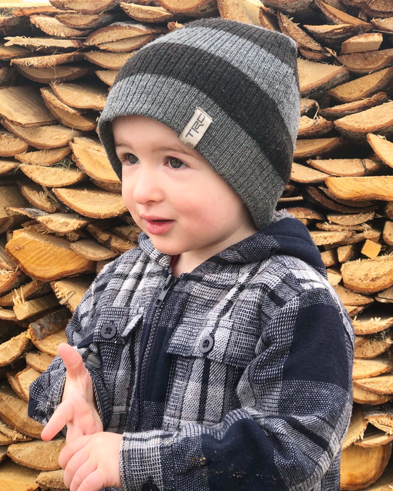 Main Gallery Display