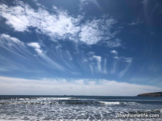 Main Gallery Display