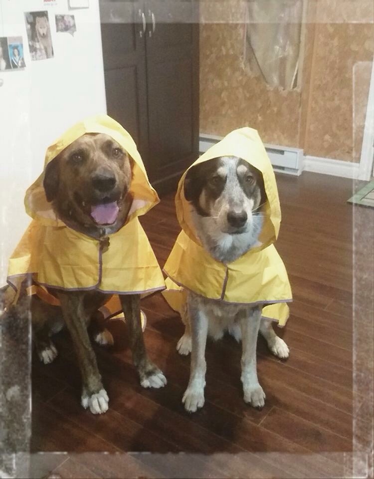 Main Gallery Display