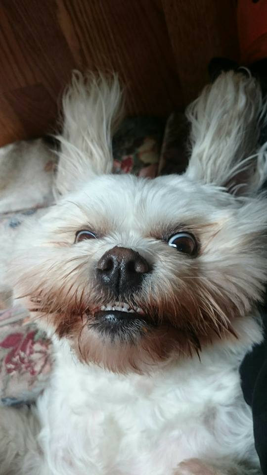 Main Gallery Display