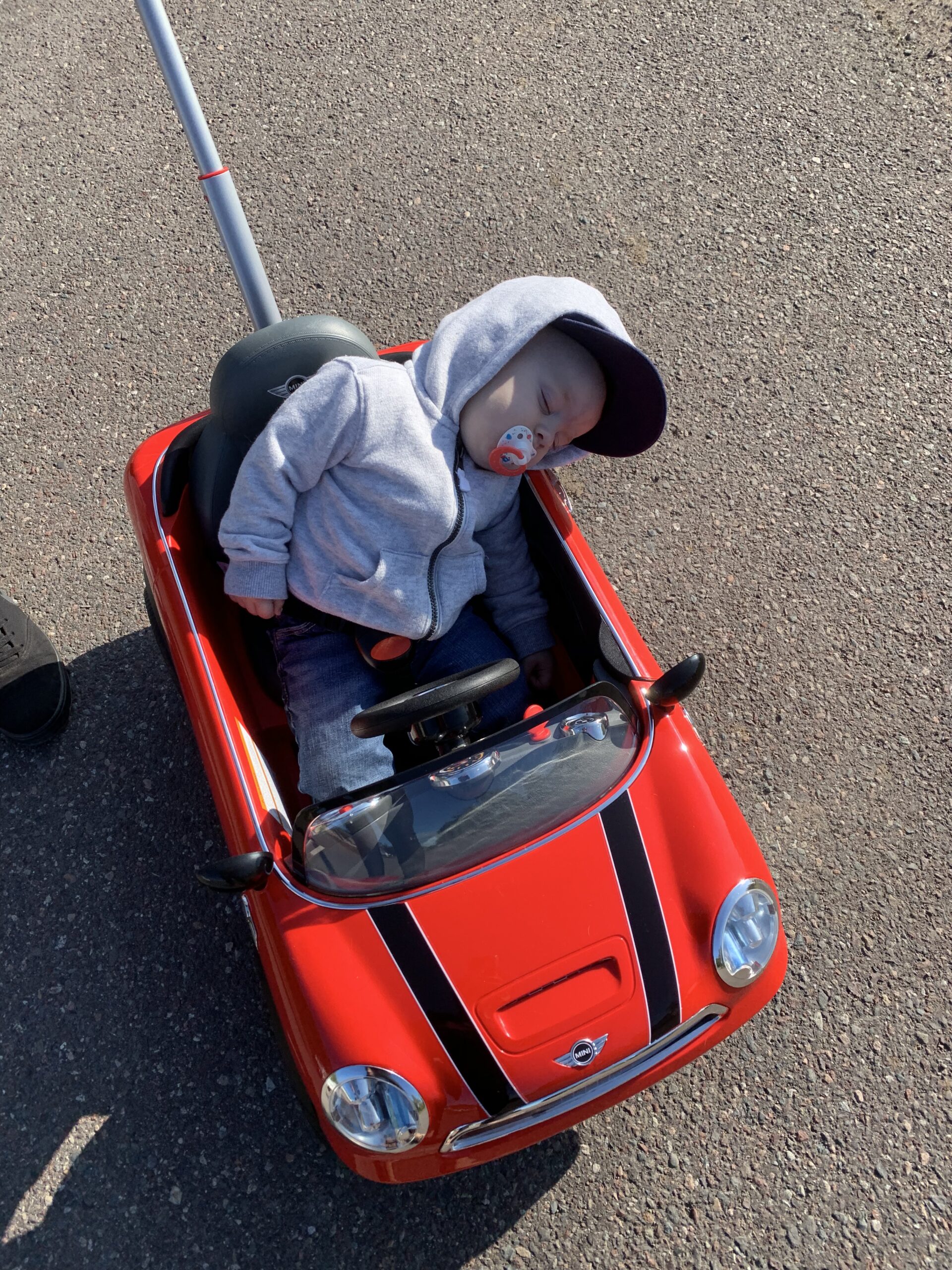 Main Gallery Display