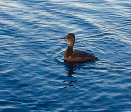 Main Gallery Display